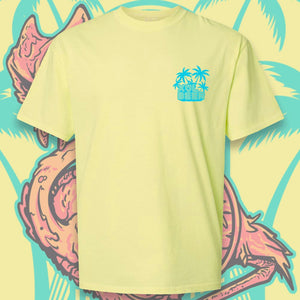 Front image has Xul Beer written in blue with palm trees popping out behind it.